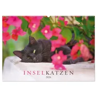 Calvendo Inselkatzen (Wandkalender 2026 DIN A2 quer), CALVENDO Monatskalender: