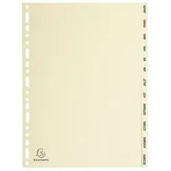 Exacompta Register mit bedruckten Taben aus Karton 155g/qm, 12 Positionen Taben Ja.-Dez., für Format DIN A4