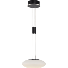 Q-Smart-Home Paul Neuhaus Q-ETIENNE LED-Hängelampe 1fl, schwarz