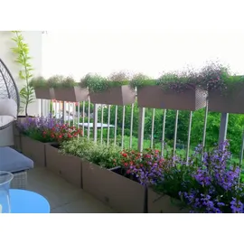 Prosperplast Blumenkasten Rato 60 x 24,5 x 24 cm anthrazit