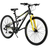 Vevor Mountainbike 29 Zoll RH 73,66 cm Unisex Trail Snow