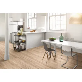 Parador Vinylboden Basic 5.3 Eiche memory geschliffen