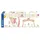 Selecta Spieltrapez aus Holz rosa (64306)