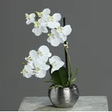 Kunstorchidee 30cm im Keramiktopf, Silber künstliche Orchidee Kunstpflanze Phalaenopsis, mucPlants