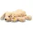Steiff Soft Cuddly Friends Floppy Lumpi Hund 20 cm Braun