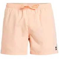 QUIKSILVER Everyday Beach Volley 15" Boardshorts ́ Mann