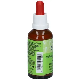 BioPräp Biologische Präparate Handelsgesellschaft mbH Curcumin Flüssigextrakt CurMizell