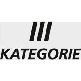 KCL Einweghandschuh Dermatril L 741 074111081C 100 Stück,