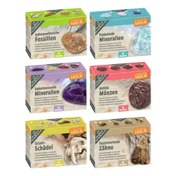 Moses Expedition Natur Mini-Ausgrabungssets  sortiert