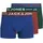 JACK & JONES JACLICHFIELD TRUNKS 3 Pack Fired Brick / Scarab / Sodalite Blau S 3er Pack