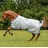 Bucas Power Turnout Light Regendecke 115 Silber