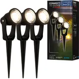 Briloner Connect to Shine Lilis mit Erdspieß, Erweiterungsset, IP65, warmweißes Licht, Gartenbeleuchtung, LED Gartenstrahler, 22,5x6x5 cm,