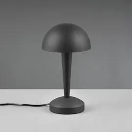 Trio Canaria Schwarz-Gold