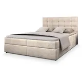masseno Glos 160 x 200 cm H2 Beige