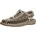 timberwolf/plaza taupe 45