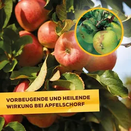 Solabiol Netzschwefel Pilzfrei 75 g