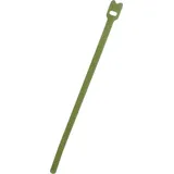 FASTECH® Klettkabelbinder zum Bündeln Haft- und Flauschteil (L x B) 200mm x 7mm Grün 100St.