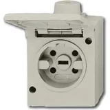 Busch-Jaeger Perilex-Steckdose 2064 AG Grau 1 St.