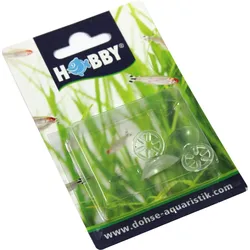 HOBBY Stern-Saughalter für Thermometer Aquarienzubehör