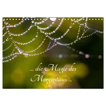 Calvendo ... die Magie des Morgentaus ... (Wandkalender 2026 DIN A4 quer), CALVENDO Monatskalender: Makrofotografie von Tau am Morgen in seinen unterschiedlichen Erscheinungen (CALVENDO Natur)