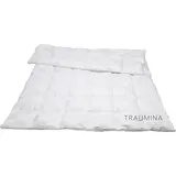 Traumina Cube Daune Kassettendecke WK 3 Größe 155x200 cm*)