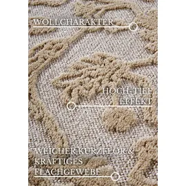 Villeroy & Boch Kurzflor Teppich Ambroise – Moderner Wohnzimmerteppich, Hoch-Tief Effekt, Modernes Muster für Wohnzimmer, Schlafzimmer, Esszimmer – Creme, 200x290cm
