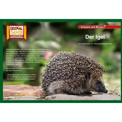 Kamishibai: Der Igel