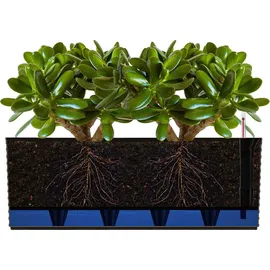 Pafen Balkonkasten 51 x 19 x 18,5 cm Schwarz