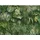 ascreation A.S. Création Greenery Vliestapete 372802