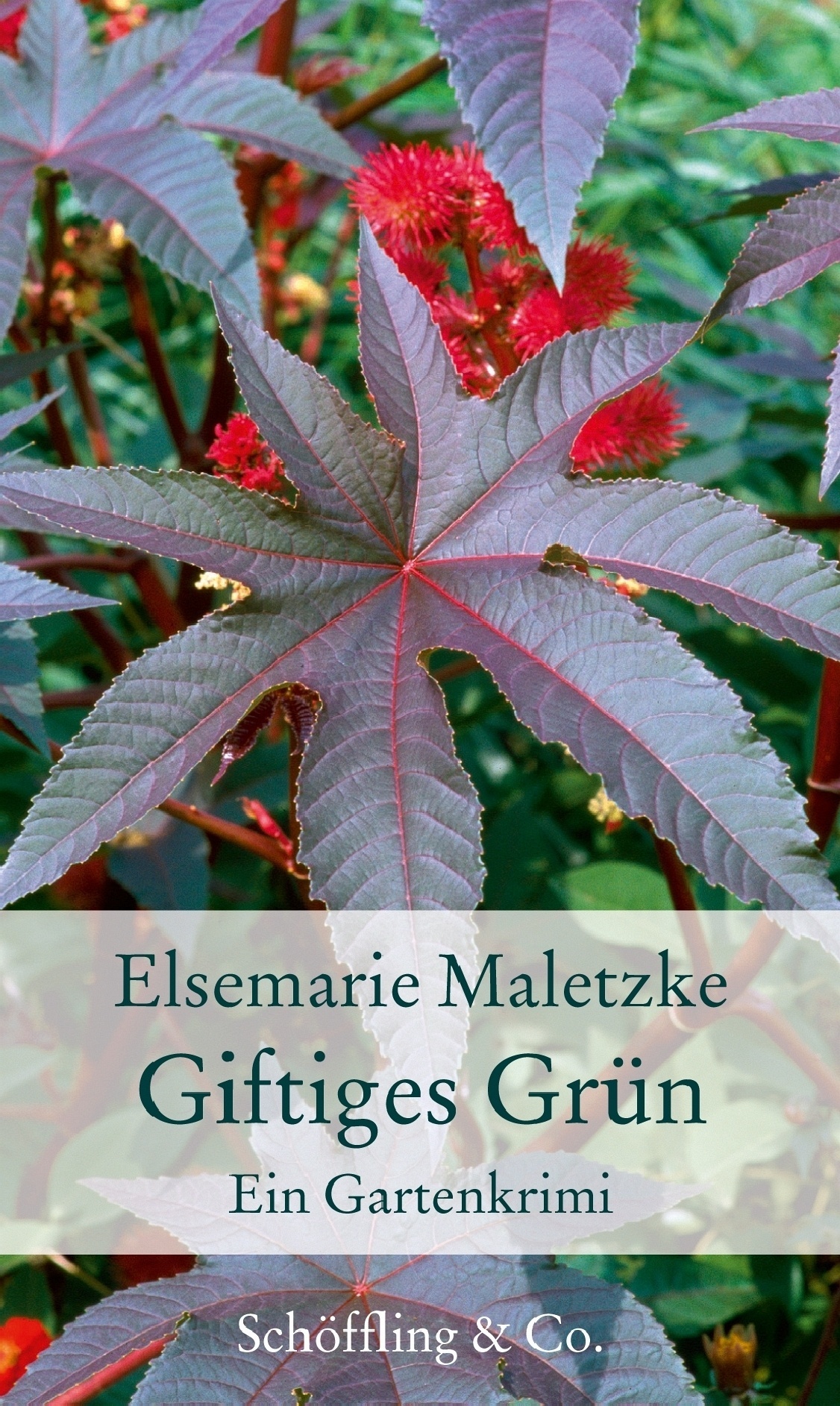 Gartenbücher - Garten-Geschenkbücher / Giftiges Grün - Elsemarie Maletzke  Gebunden