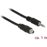 DeLock 85116 Klinke Audio Anschlusskabel [1x Klinkenbuchse 3.5mm Schwarz
