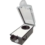 Inter Bär Aufputz-Steckdose 9015-002,81 Schwarz 1 St.