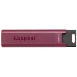 Kingston DataTraveler Max 256GB