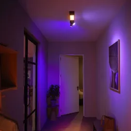 Philips Hue White & Color Ambiance Centris Spot 2-flg. schwarz