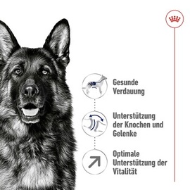 Royal Canin Maxi Adult 5+ 15 kg