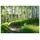 WallArena Fototapete Wald Baume Vliestapete Tapete 400x280