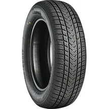GRIPMAX SureGrip eWinter 225/55 R17 101V XL