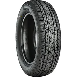 GRIPMAX SureGrip eWinter 225/55 R17 101V XL