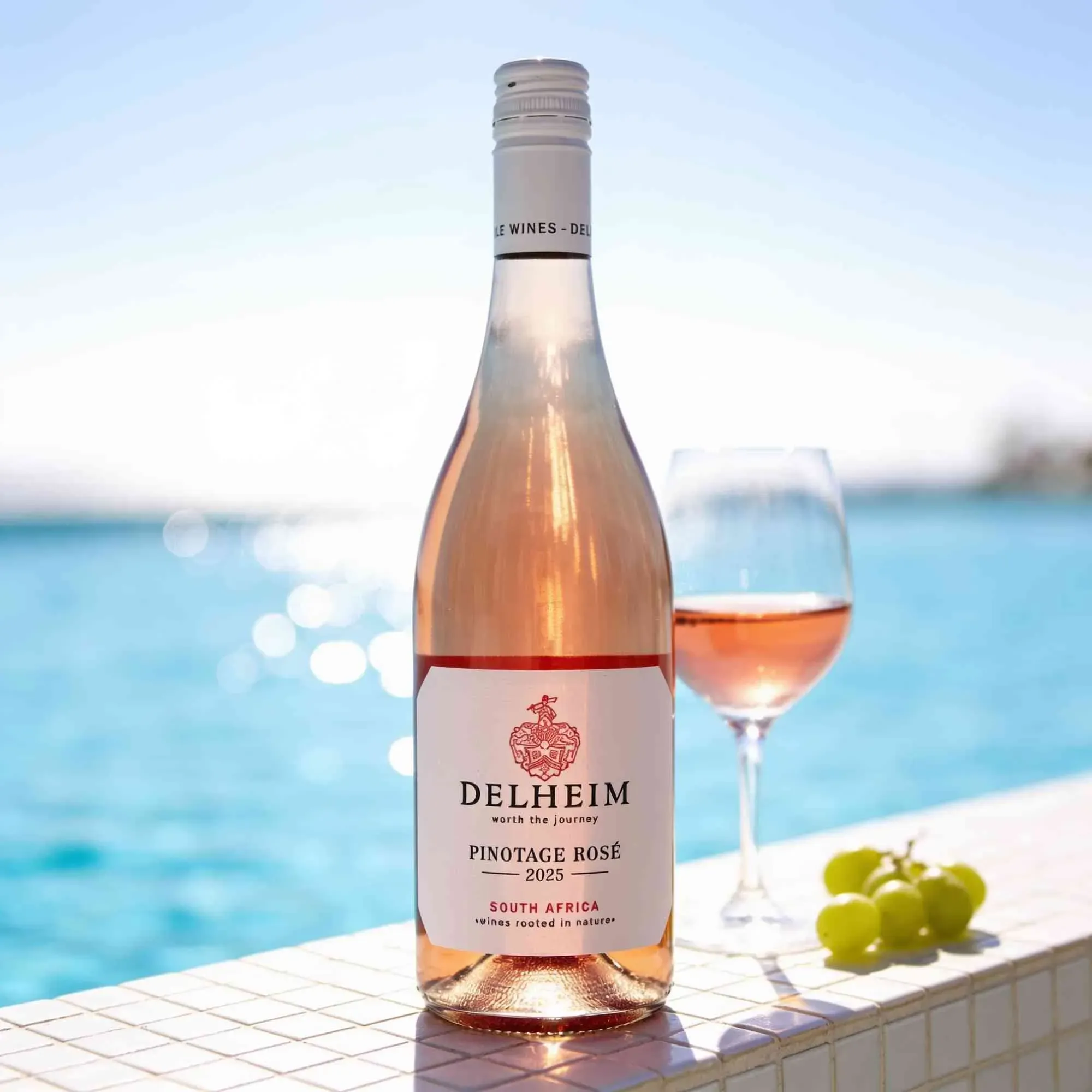 Delheim 2025 Delheim Pinotage Rosé 2025 Muscat de Frontignan,Pinotage Südafrika