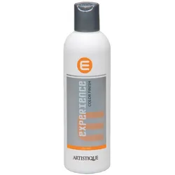 Artistique Experience Color Finish 250 ml
