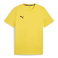 Puma teamGOAL Casuals Tee