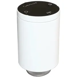 SALUS TRV10RFM