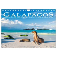 Calvendo Die faszinierende Tierwelt der Galapagos-Inseln (Wandkalender 2026 DIN