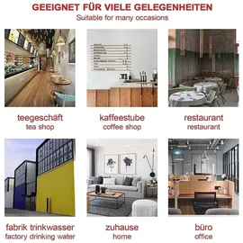 feel2home Einkochautomat 22 l Silber