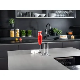 Bamix Mono M200 Stabmixer