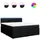 vidaXL Boxspringbett 180 x 200 cm Schwarz