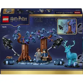 LEGO Harry Potter Verbotener Wald: Expecto Patronum 76475