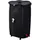 IPAE PRO GARDEN Regentonne 250 l Schwarz