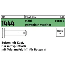 F. REYHER Nchfg. GmbH & Co. KG Bolzen DIN 1444/ISO 2341 Kopf/Splintloch B 16x55/49 Stahl galv.verz. 1St.