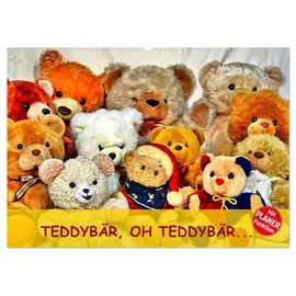 Calvendo Jennifer Chrystal | TEDDYBÄR, OH TEDDYBÄR... Wandkalender 2026 DIN A2 quer),...